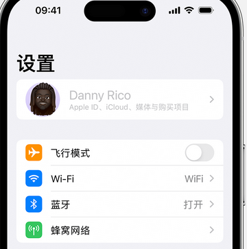 浮梁appleID维修服务iPhone设置中Apple ID显示为灰色无法使用 