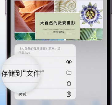 浮梁apple维修中心分享iPhone文件应用中存储和找到下载文件