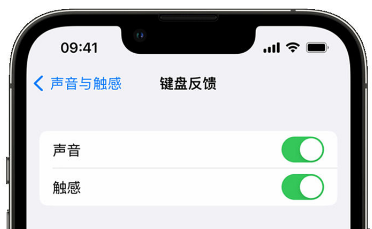 浮梁苹果手机维修分享iPhone 14触感键盘使用方法 