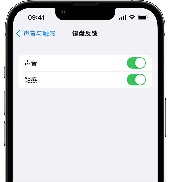 浮梁苹果14维修店分享如何在 iPhone 14 机型中使用触感键盘 