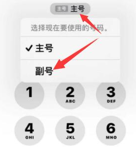 浮梁苹果14维修店分享iPhone 14 Pro Max使用副卡打电话的方法 