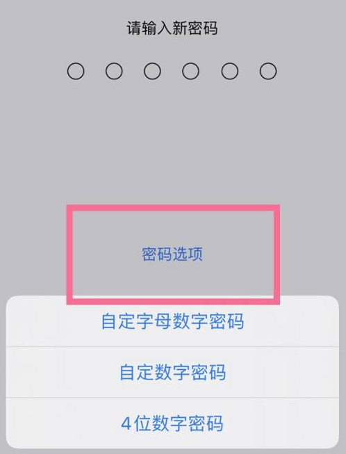 浮梁苹果14维修分享iPhone 14plus设置密码的方法 